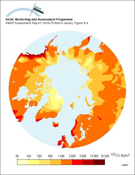 Estimated ground deposition of nuclear weapons fallout of 137Cs based on precipitation data, decay corrected to 1995 (map/graphic/illustration)