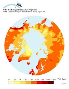 Estimated ground deposition of nuclear weapons fallout of 137Cs based on precipitation data, decay corrected to 1995