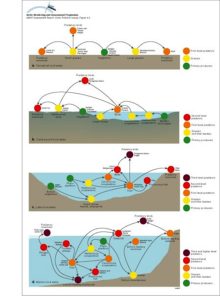 Examples of Arctic food webs, a) terrestrial, b) tundra pond, c) lake, and d) marine