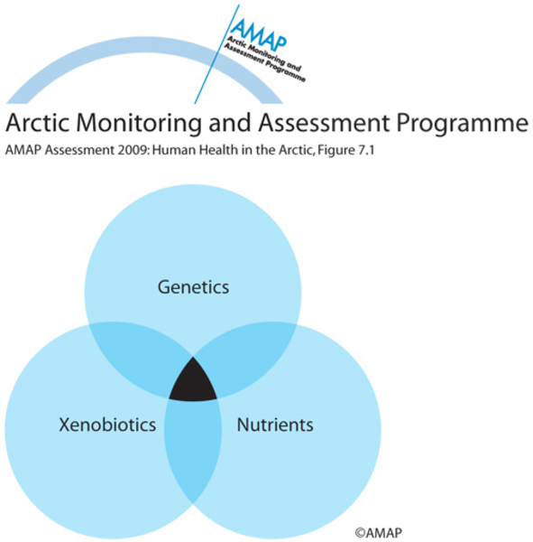 Genes, macronutrients, and contaminants may have synergistic effects on the development of diseases (map/graphic/illustration)