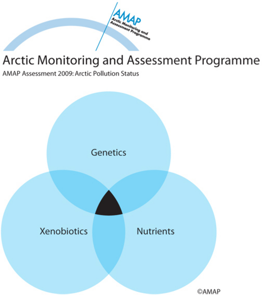 Genes, macronutrients, and contaminants may have synergistic effects on the development of diseases (map/graphic/illustration)