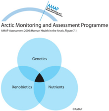 Genes, macronutrients, and contaminants may have synergistic effects on the development of diseases