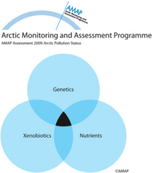 Genes, macronutrients, and contaminants may have synergistic effects on the development of diseases