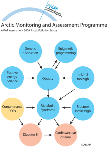 Genetic and environmental factors increase in concert the susceptibility of an individual for public health problems such as, type2 diabetes and metabolic syndrome (map/graphic/illustration)