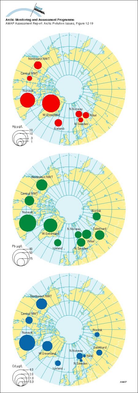 Geometric mean concentrations of mercury, lead and cadmium in maternal whole blood; AMAP circumpolar study 1994-95, see Table 12A13 (map/graphic/illustration)