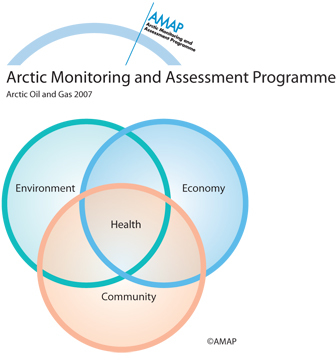 Holistic approach to assessment of health of the general population (map/graphic/illustration)