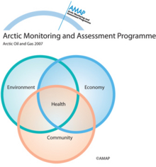 Holistic approach to assessment of health of the general population