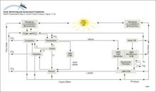 Illustration of the role of UV radiation in various light-dependent processes Natural UV radiation impacts the numbers, distribution and activity of several aquatic ecosystem targets and thus, theoretically, their interactions