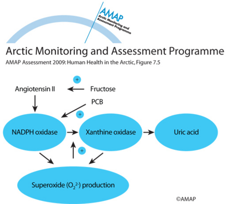 Interactions between the uric acid formation pathway and dietary and environmental factors (map/graphic/illustration)