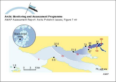 Lead levels in blue mussels (Mytilus edulis) in the fjord outside the Black Angel lead-zinc mine in West Greenland in 1986-87 Values on the fjord coast are measured concentrations Estimated concentrations in the fiord are indicated by isolines (map/graphic/illustration)