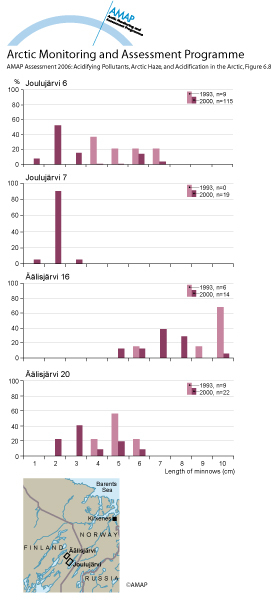 Length distributions of minnows caught by electrofishing in the Joulujärvi area (map/graphic/illustration)