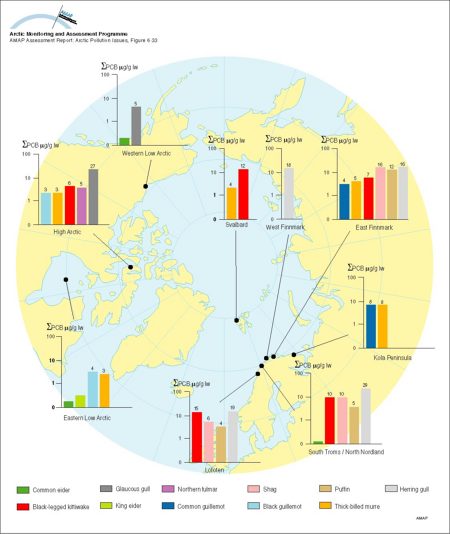 Levels of PCBs in seabird eggs (µg/g lw) Values written above bars are actual mean concentrations Wet weight means are given in Annex Table 6A16 (map/graphic/illustration)