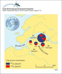 Local radionuclide contamination on Novaya Zemlya