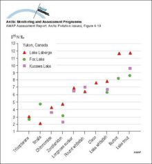 Mean delta-15 nitrogen (ppt) for invertebrates and fish collected from Laberge, Fox, and Kusawa Lakes