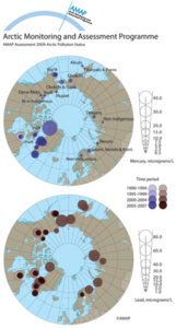 Mercury and lead concentrations in blood of mothers, pregnant women and women of child-bearing age during different time periods