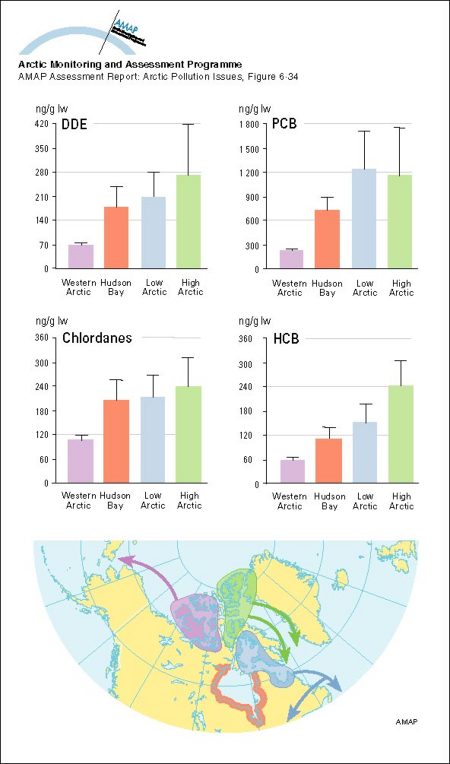 Migration patterns of four main stocks of eider ducks from the Canadian Arctic Organochlorines in the same four stocks (map/graphic/illustration)