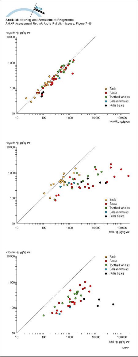 Organic mercury versus total mercury in muscle, liver and kidney tissue of Greenlandic marine animals The lines indicates 100% organic mercury (map/graphic/illustration)