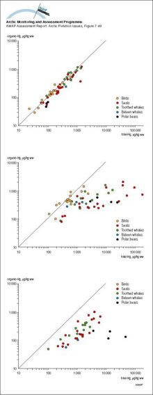 Organic mercury versus total mercury in muscle, liver and kidney tissue of Greenlandic marine animals The lines indicates 100% organic mercury