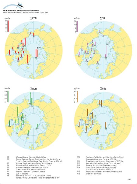 Organochlorine levels in polar bear adipose tissues (µg/g lw), adjusted to levels expected in 11-year-old males (after correction for age and sex), for sum-PCB, sum-CHL, sum-HCH, and sum-CBz, and in Arctic fox from Svalbard for sum-PCB and sum-CHL (map/graphic/illustration)