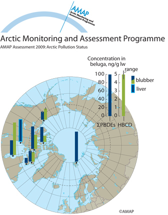 PBDEs and HBCD in beluga (map/graphic/illustration)