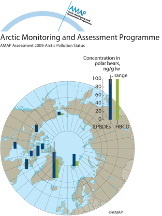 PBDEs and HBCD in polar bears (map/graphic/illustration)