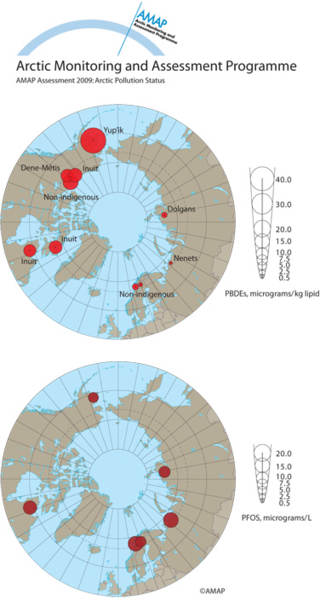 PBDEs and PFOS in blood plasma of mothers and women of child-bearing age (map/graphic/illustration)