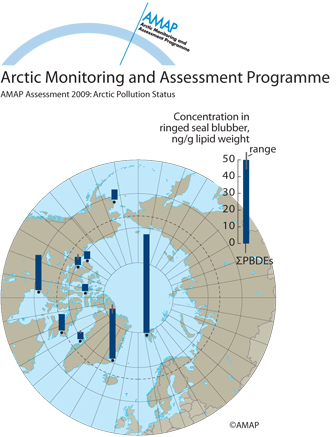 PBDEs in ringed seals (map/graphic/illustration)