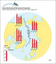 PCB and toxaphene (ng/g ww) in zooplankton from the transpolar cruise of the Arctic Ocean, July-September 1994