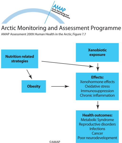 Potential methods for improving public health (map/graphic/illustration)