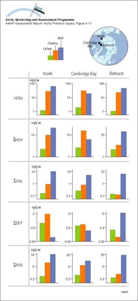 Relative tissue concentrations of organochlorine compounds detected in lichen, and in adipose tissue of caribou and wolf at three locations in the Northwest Territories, Canada (map/graphic/illustration)