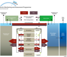 Schematic diagram of the petroleum hydrocarbon budget of the Arctic