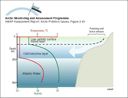 Schematic representation of the temperature and salinity structure of the upper Arctic Ocean and how the halocline layer is maintained by brine-rich water produced on the shelves (map/graphic/illustration)