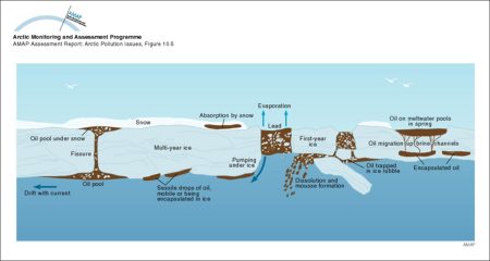 Sequence of oil-ice interaction including drops under the ice, new ice growth below the oil, oil appearing on the surface in the spring, wind herding of oil on melt pools, and the appearance of emulsified oil on top of the ice (map/graphic/illustration)