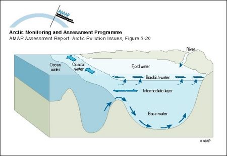 Sketch of main circulation pattern in a fjord (map/graphic/illustration)