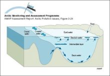 Sketch of main circulation pattern in a fjord