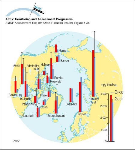 Sum-PCB and sum-DDT in ringed seal blubber (µg/g) Vertical bars denote standard deviation (map/graphic/illustration)