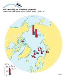 Sum-PCB and sum-DDT (ng/g lw) in Arctic cod liver, 1994-95