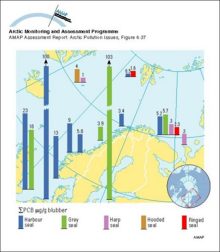 Sum-PCB levels in pinnipeds in Norway