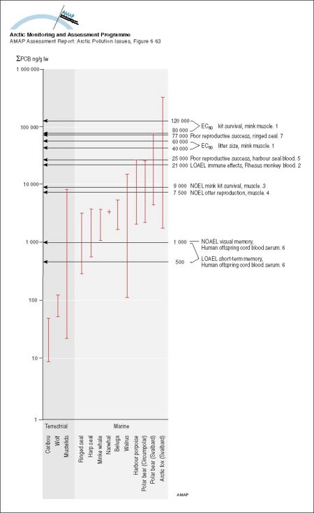 Sum-PCB (ng/g lw) in Arctic mammals compared to thresholds for mammalian effects (1 Leonards et al 1995, 2 Tryphonas 1994, 3 Kihlström et al 1992, 4 Olsson et al 1996a, 5 Boon et al 1987, 6 Ahlborg et al 1992, 7 Helle et al 1976b) (map/graphic/illustration)