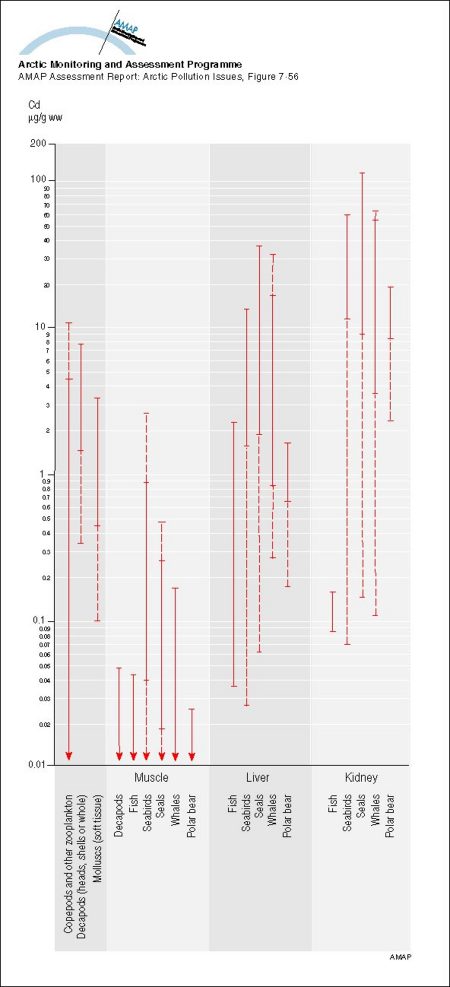 Summary of ranges of Cd levels (mean values) in Arctic marine organisms Solid parts of the lines indicate ranges for Greenlandic data (map/graphic/illustration)