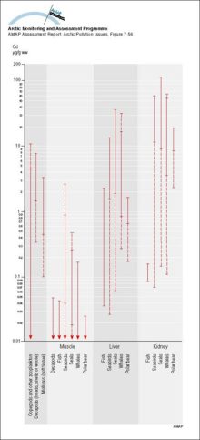 Summary of ranges of Cd levels (mean values) in Arctic marine organisms Solid parts of the lines indicate ranges for Greenlandic data