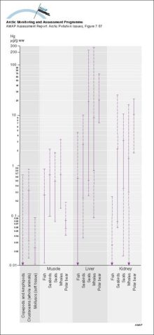 Summary of ranges of Hg levels (mean values) in Arctic marine organisms Solid parts of the lines indicate ranges for Greenlandic data