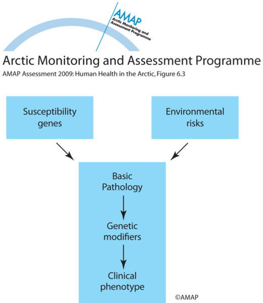 The paradigm of interactions between genes and environment and development of a clinical phenotype (map/graphic/illustration)