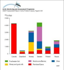 The relative contribution to the 137Cs content of the diet of the ‘average’ population of various Arctic areas for the period 1990 to 1994