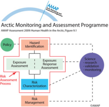 The various elements of the risk assessment process