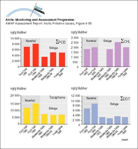 Trends in sum-PCB, sum-DDT, sum-CHL, and toxaphene over a ten year period (20 years for DDT in the Mackenzie Delta) for male narwhal and beluga blubber samples from the Canadian Arctic (N=8-26) (map/graphic/illustration)