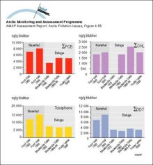 Trends in sum-PCB, sum-DDT, sum-CHL, and toxaphene over a ten year period (20 years for DDT in the Mackenzie Delta) for male narwhal and beluga blubber samples from the Canadian Arctic (N=8-26)