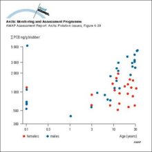 Variation of PCB with age in blubber of ringed seals (western Hudson Bay, Canada) A total of 24 females and 30 males were analyzed