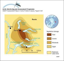 Vegetation damage zones around Norilsk