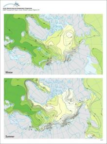 Winter and summer surface water salinity in the Arctic Ocean and adjacent seas